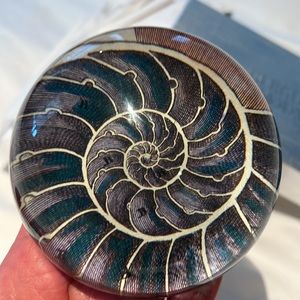 John Derian Glass Dome Paperweight Nautilus Bergdorf Goodman